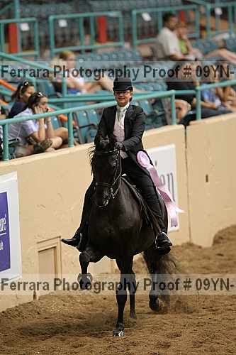 Proof 09yn-13149
