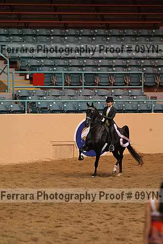 Proof 09yn-13150