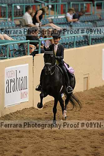 Proof 09yn-13152