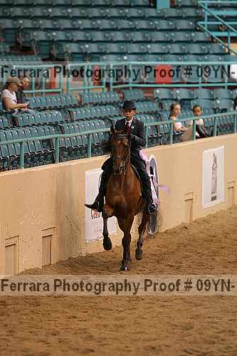 Proof 09yn-13154