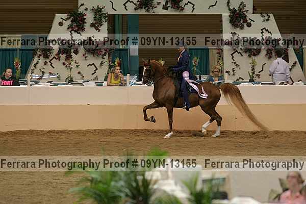 Proof 09yn-13155