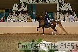 09yn-13155 proof