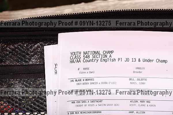 Proof 09yn-13275