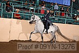 09yn-13276 proof