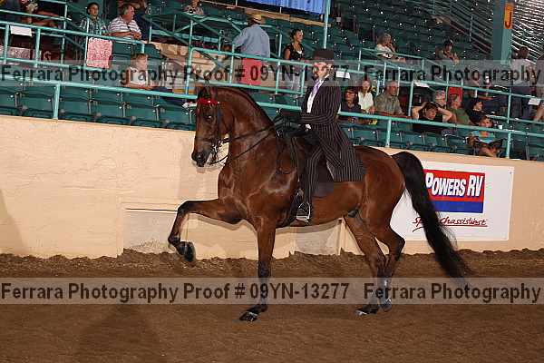 Proof 09yn-13277