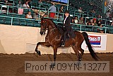 09yn-13277 proof