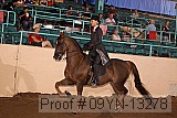 09yn-13278 proof