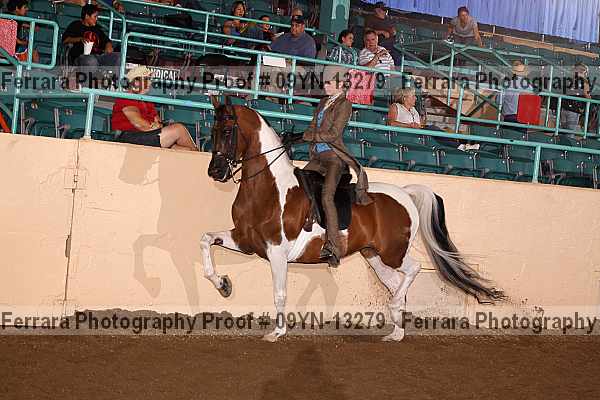 Proof 09yn-13279