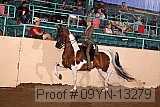 09yn-13279 proof