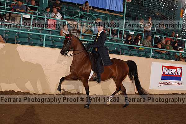 Proof 09yn-13280