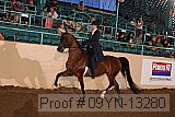 09yn-13280 proof