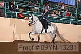 09yn-13281 proof