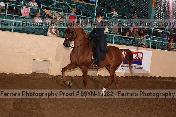 Proof 09yn-13282