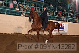 09yn-13282 proof