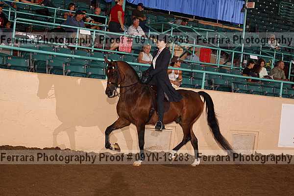 Proof 09yn-13283