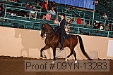 09yn-13283 proof