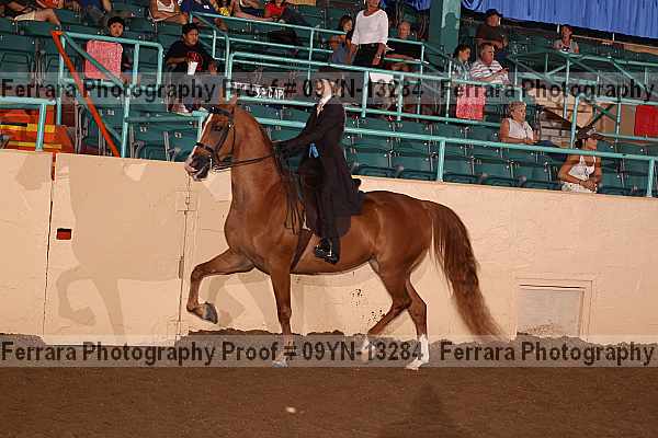 Proof 09yn-13284