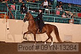 09yn-13284 proof