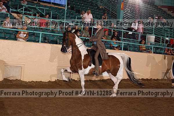 Proof 09yn-13285