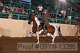 09yn-13285 proof