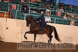 09yn-13286 proof
