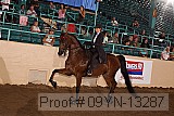 09yn-13287 proof