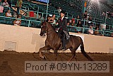 09yn-13289 proof