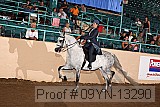 09yn-13290 proof