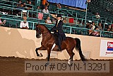 09yn-13291 proof