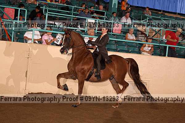 Proof 09yn-13293