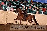 09yn-13293 proof