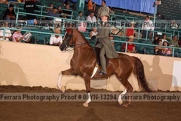 Proof 09yn-13294