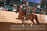 09yn-13294 proof