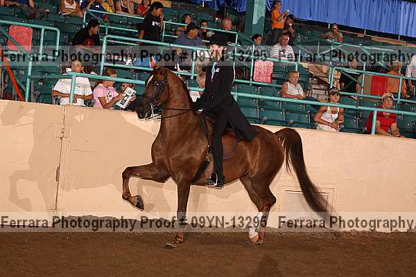 Proof 09yn-13295