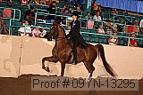 09yn-13295 proof