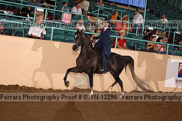 Proof 09yn-13296