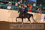09yn-13296 proof
