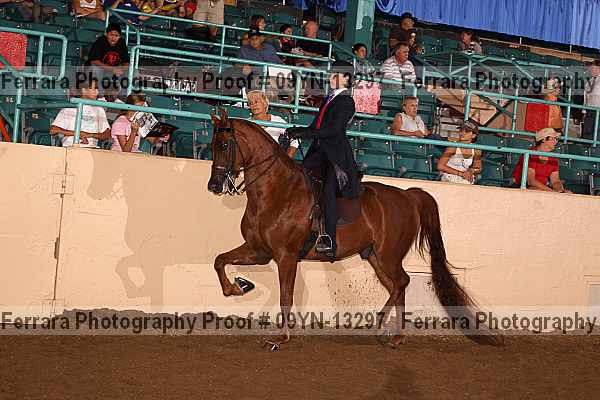 Proof 09yn-13297
