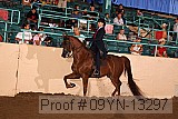 09yn-13297 proof