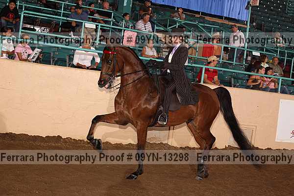 Proof 09yn-13298