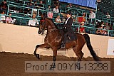 09yn-13298 proof