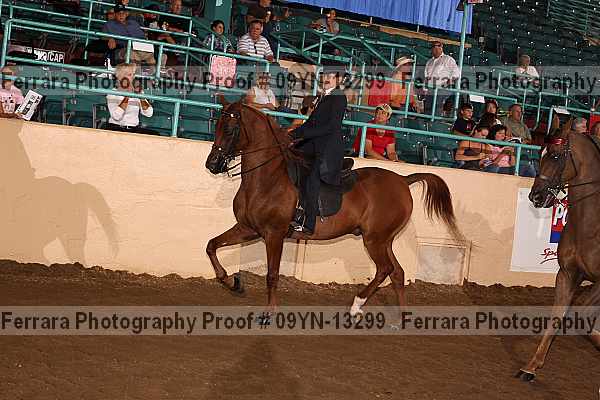 Proof 09yn-13299