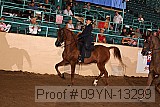 09yn-13299 proof