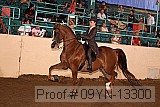 09yn-13300 proof