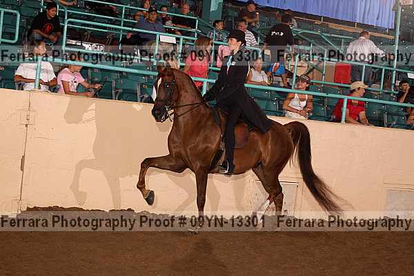 Proof 09yn-13301
