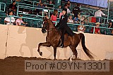 09yn-13301 proof