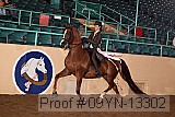 09yn-13302 proof