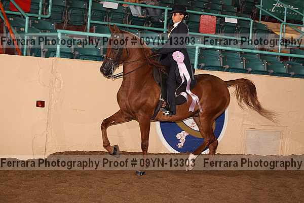 Proof 09yn-13303