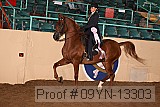 09yn-13303 proof