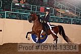 09yn-13304 proof